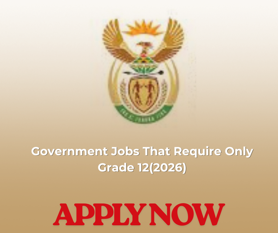 Government Jobs That Require Only Grade 12(2026)